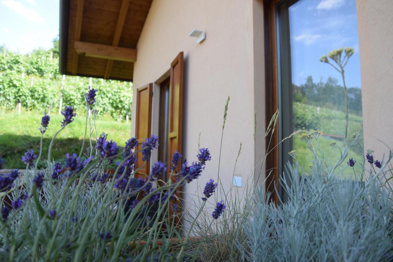 Al-Colle Bed & Breakfast Sotto il Monte Ngoại thất bức ảnh