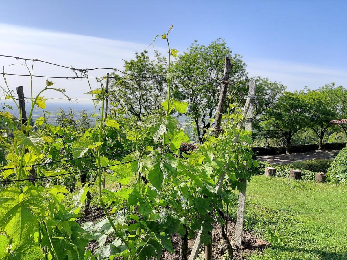 Al-Colle Bed & Breakfast Sotto il Monte Ngoại thất bức ảnh